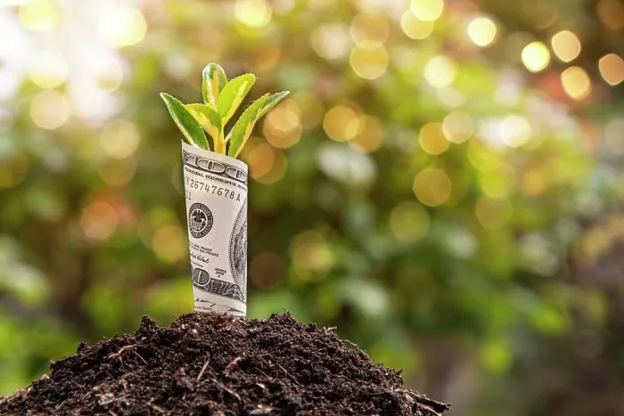 Framed Print : Small plant growing from rolled up one hundred dollar bill planted in soil representing business growth and investment Framed Print : Small plant growing from rolled up one hundred dollar bill planted in soil representing business growth and investment