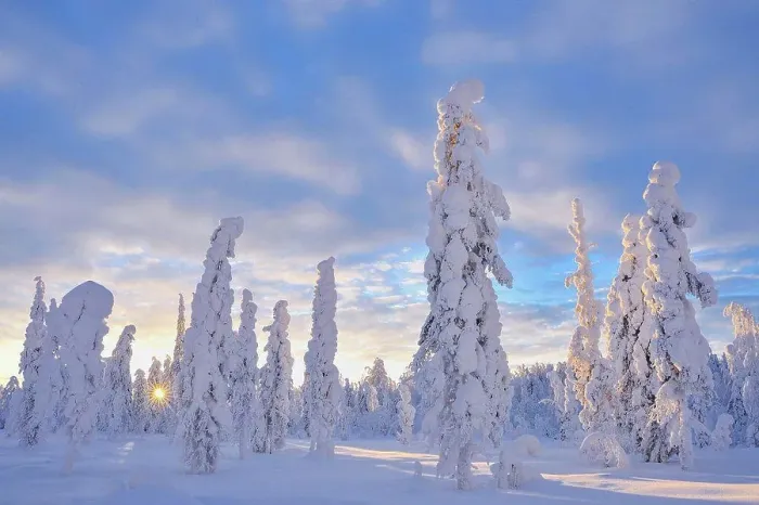 Framed Print : Snow covered landscape in winter, Valtavaara, Patoniemi, Kuusamo, Nordoesterbotten, Pohjois Pohjanmaa, Finland, Suomi Framed Print : Snow covered landscape in winter, Valtavaara, Patoniemi, Kuusamo, Nordoesterbotten, Pohjois Pohjanmaa, Finland, Suomi