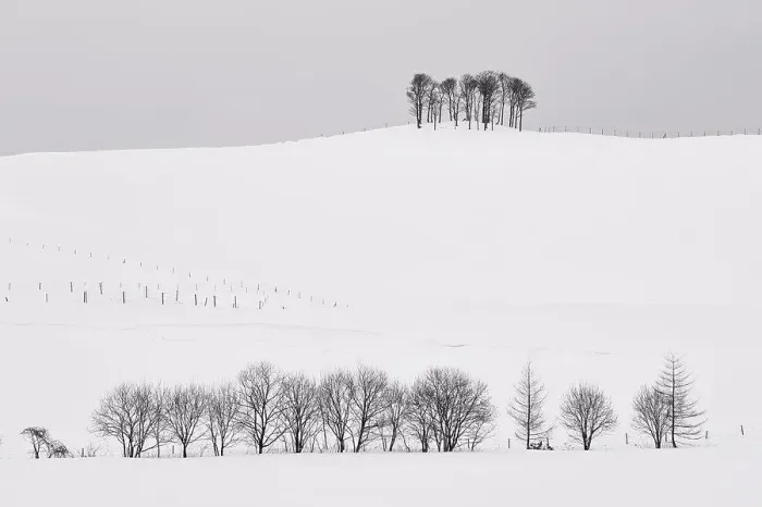 Framed Print : Snow-covered winter landscape with small copse on distant hill Framed Print : Snow-covered winter landscape with small copse on distant hill