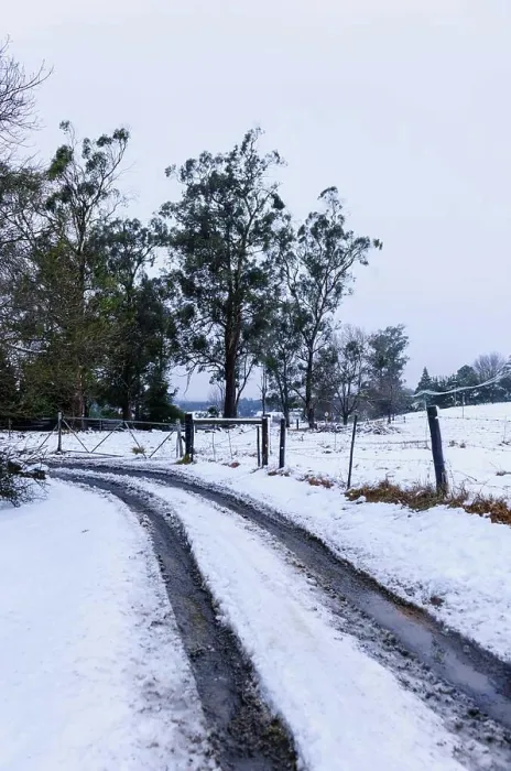 Framed Print : Snow scene near Currys Post. KwaZulu Natal Midlands. South Africa Framed Print : Snow scene near Currys Post. KwaZulu Natal Midlands. South Africa