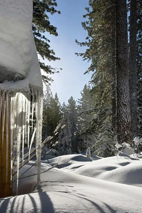 Framed Print : Snowed In Yard, Lake Tahoe, California, USA Framed Print : Snowed In Yard, Lake Tahoe, California, USA