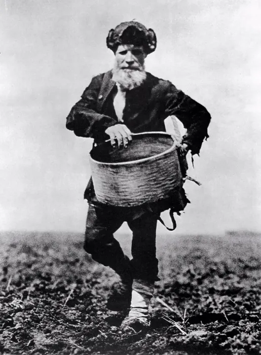 Framed Print : The Sower by Shishkin, Arkady Vasilyevich (1899-1985) / State Central Museum of Contemporary History of Russia