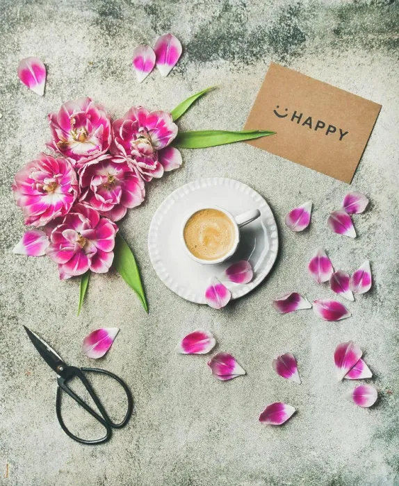 Framed Print : Spring morning concept Framed Print : Spring morning concept