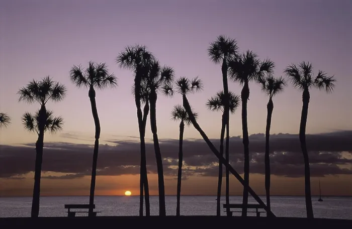 Framed Print : St. Petersburg Florida USA