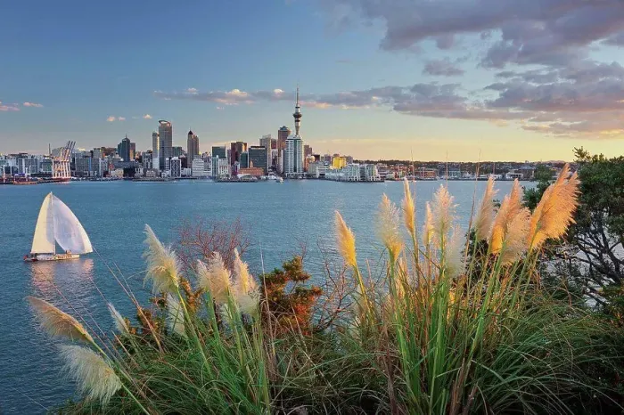 Framed Print : Stanley Bay, sailboats, skyline of Auckland, north Island, New Zealand Framed Print : Stanley Bay, sailboats, skyline of Auckland, north Island, New Zealand