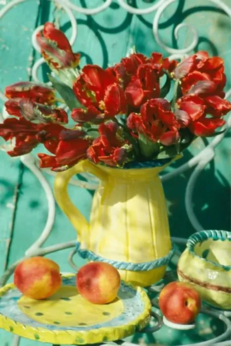 Framed Print : Still-Life of red tulips in jellow jug Framed Print : Still-Life of red tulips in jellow jug