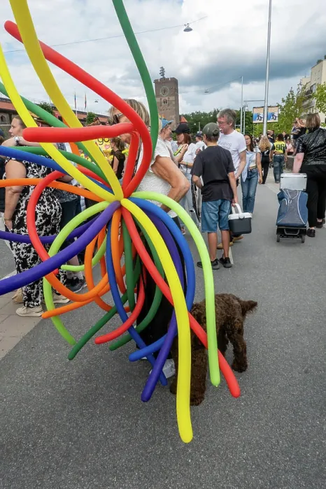 Framed Print : Stockholm, Sweden Participants and onlooker pedestrians at the Stockholm Pride march 2024