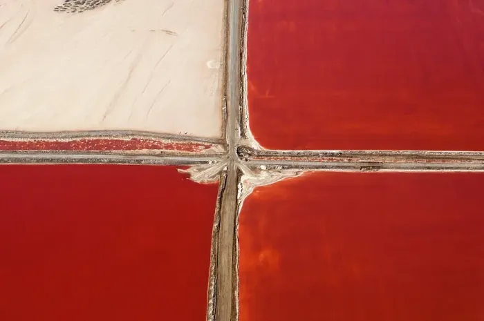 Framed Print : A striking aerial view of red salt ponds intersected by paths Framed Print : A striking aerial view of red salt ponds intersected by paths