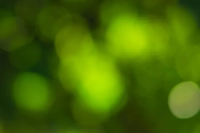 Framed Print : Sunlight bokeh the green leaves of trees natural blurred Framed Print : Sunlight bokeh the green leaves of trees natural blurred