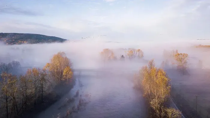 Framed Print : Sunny Fall Colors During Foggy Morning In Washington