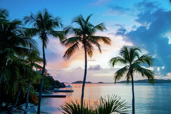 Framed Print : Sunset and palm trees on the Caribbean island of Saint Thomas, Virgin Islands; St. Thomas, US Virgin Islands Framed Print : Sunset and palm trees on the Caribbean island of Saint Thomas, Virgin Islands; St. Thomas, US Virgin Islands