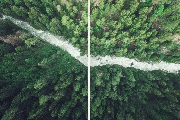 Framed Print : suspension bridge over forest from aerial view Framed Print : suspension bridge over forest from aerial view