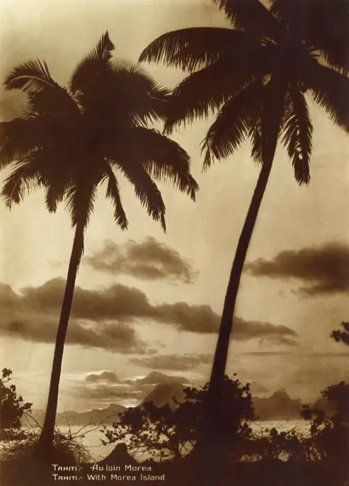 Framed Print : Tahiti - Coastal scene with Palm Trees / Moorea Island Date: 1929 Framed Print : Tahiti - Coastal scene with Palm Trees / Moorea Island Date: 1929