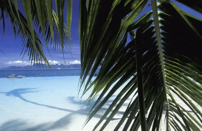 Framed Print : Tahiti French Polynesia