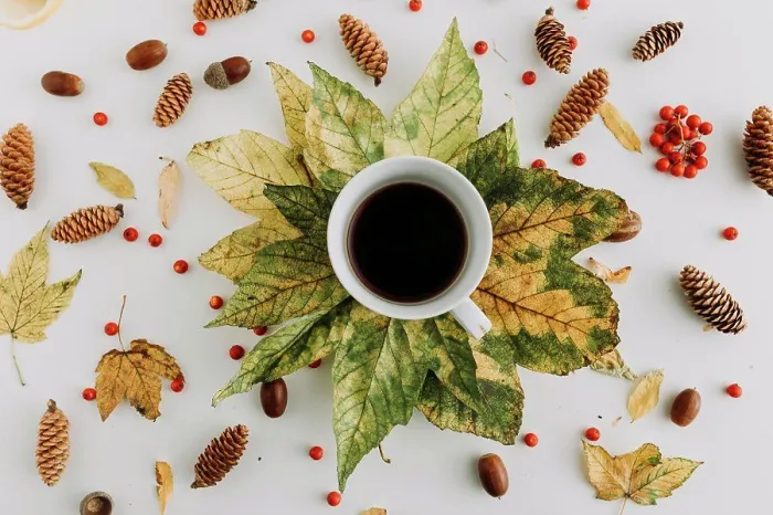 Framed Print : Tea cup with on leaves with acorns, cones, and mountain ash Framed Print : Tea cup with on leaves with acorns, cones, and mountain ash