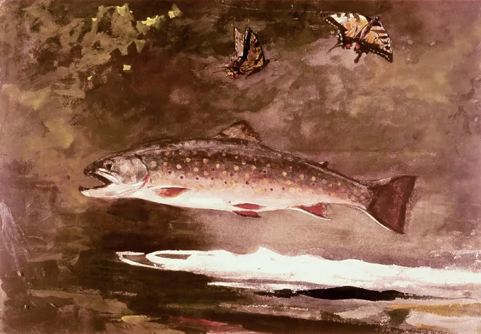 Framed Print : Title Unknown (Fish) Winslow Homer (1836-1910 American)