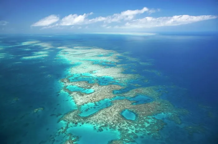 Framed Print : Tongue Reef, Great Barrier Reef Marine Park, North Queensland, Australia - aerial Framed Print : Tongue Reef, Great Barrier Reef Marine Park, North Queensland, Australia - aerial