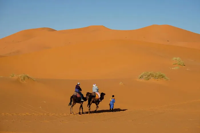 Framed Print : tourist camel caravan on Erg Chebbi tourist camel caravan on Erg Chebbi Framed Print : tourist camel caravan on Erg Chebbi tourist camel caravan on Erg Chebbi