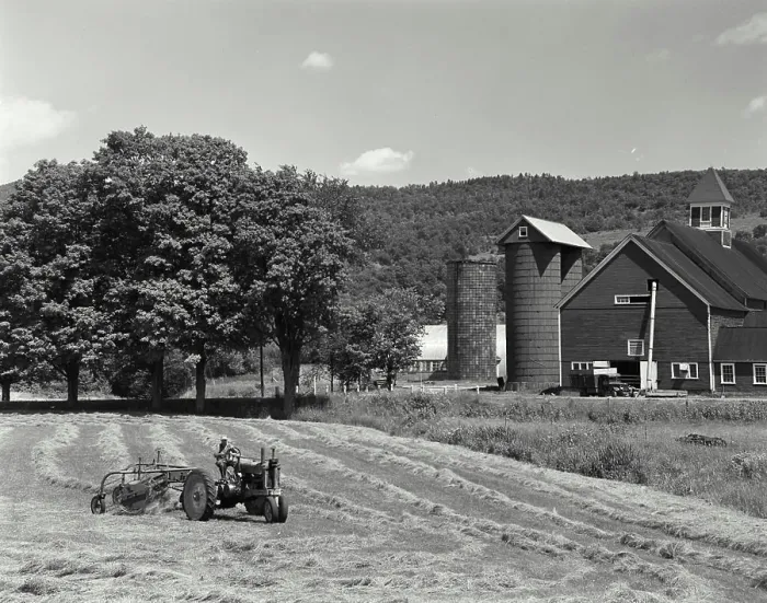 Framed Print : Tractor raking a field, East Ryegate, Vermont, USA