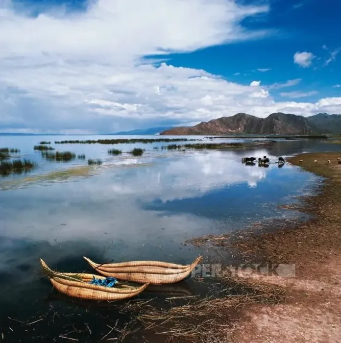 Framed Print : Traditional reed boats, Lake Titicaca, Peru Framed Print : Traditional reed boats, Lake Titicaca, Peru