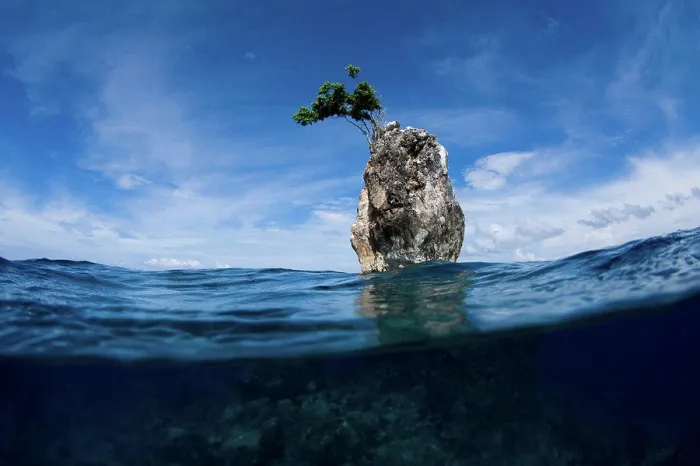 Framed Print : One Tree Rock, Boo Island, Misool, Raja Ampat, West Papua, Indonesia, Pacific Ocean