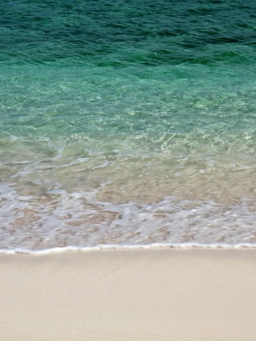 Framed Print : Tropical white sand beach Framed Print : Tropical white sand beach