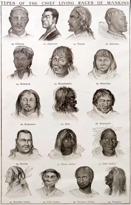 Framed Print : Types of the Chief Living Races of Mankind. Dated 19th Century
