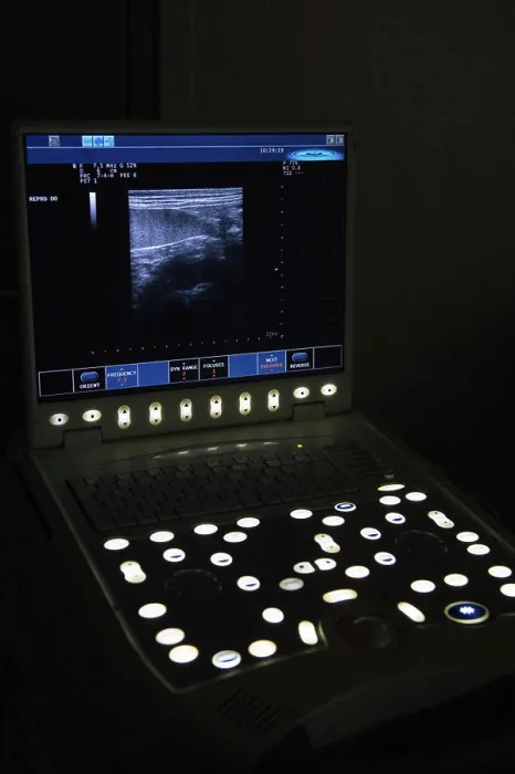 Framed Print : ultrasound scan dog ultrasound scan with stomach of a dog Copyright: xZoonar.com / IvonnexWierinkx 8034042