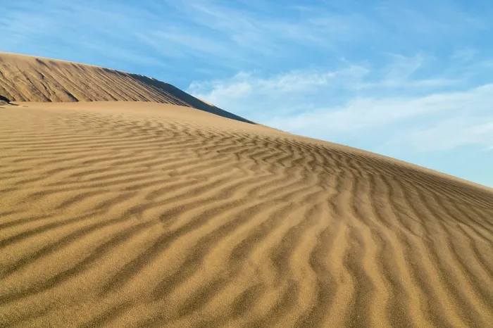 Framed Print : USA, California, Mohave National Preserve. Rippled sand dunes