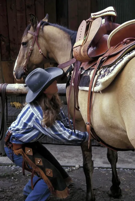 Framed Print : USA, Montana, Boulder River Woman wrangler saddles horse at Boulder River Ranch (MR)