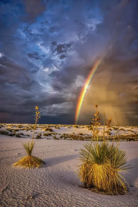 Framed Print : USA, New Mexico, White Sands National Park. Thunderstorm rainbow over desert
