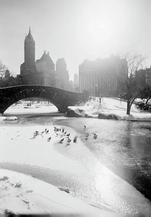 Framed Print : USA, New York State, New York City, Fifth Avenue skyline from Central Park