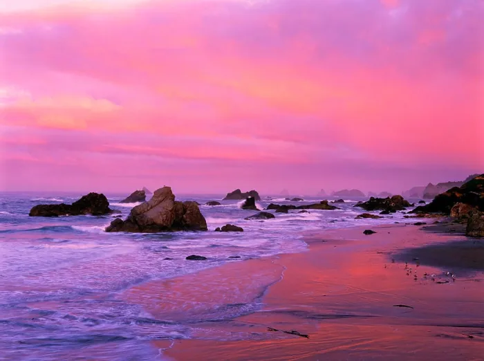 Framed Print : USA, Oregon, Harris State Beach, Brookings. Sea stacks at dawn Framed Print : USA, Oregon, Harris State Beach, Brookings. Sea stacks at dawn