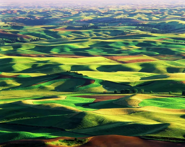 Framed Print : USA, Washington State, Eastern Washington, Palouse, Contour farming in Palouse farm (Large format sizes available)