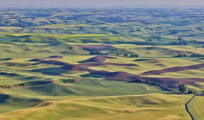 Framed Print : USA, Washington State. Rolling wheat fields from Steptoe Butte State Park Framed Print : USA, Washington State. Rolling wheat fields from Steptoe Butte State Park
