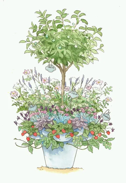 Framed Print : Various plants in pot Framed Print : Various plants in pot