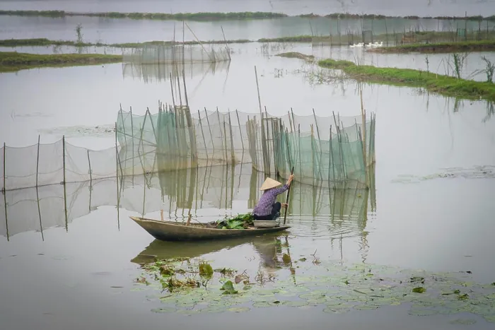 Framed Print : Vietnam, Ninh Binh. Woman on boat, by fish pen. (Large format sizes available) Framed Print : Vietnam, Ninh Binh. Woman on boat, by fish pen. (Large format sizes available)