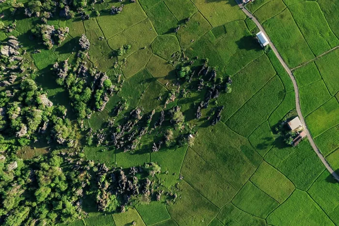 Framed Print : View from directly above of green farm fields on the lush landscape in South Sulawesi Framed Print : View from directly above of green farm fields on the lush landscape in South Sulawesi