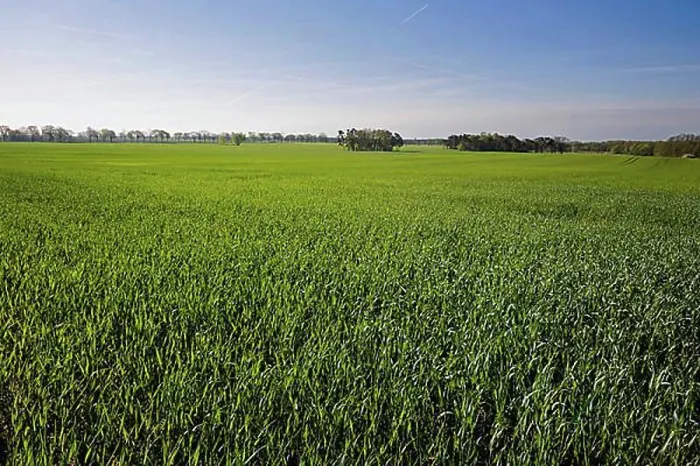 Framed Print : View of a field in Brandenburg. Grossmutz, 03.05.2022, Grossmutz, Germany, Europe Framed Print : View of a field in Brandenburg. Grossmutz, 03.05.2022, Grossmutz, Germany, Europe
