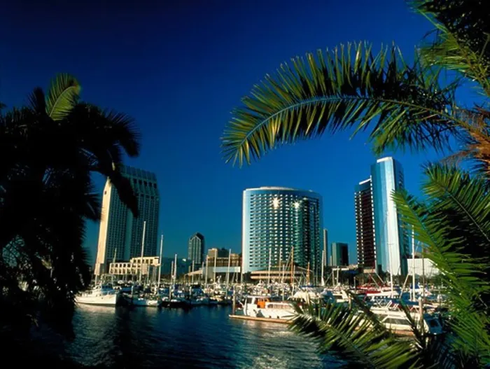 Framed Print : View through palm trees of hotels and boats in the marina in San Diego, California Framed Print : View through palm trees of hotels and boats in the marina in San Diego, California
