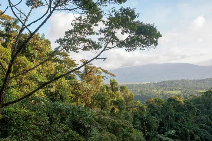 Framed Print : View of the rainforest canopy near the Arenal Volcano in Costa Rica
