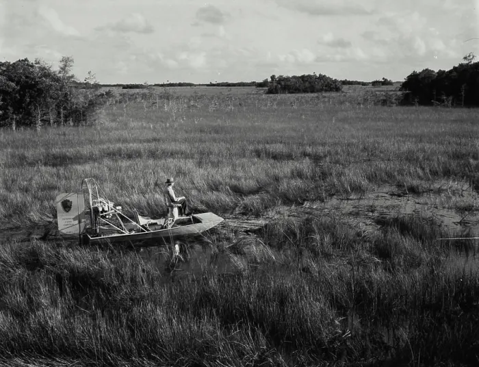 Framed Print : Vintage Photograph. Air boat in the Florida Everglades Framed Print : Vintage Photograph. Air boat in the Florida Everglades