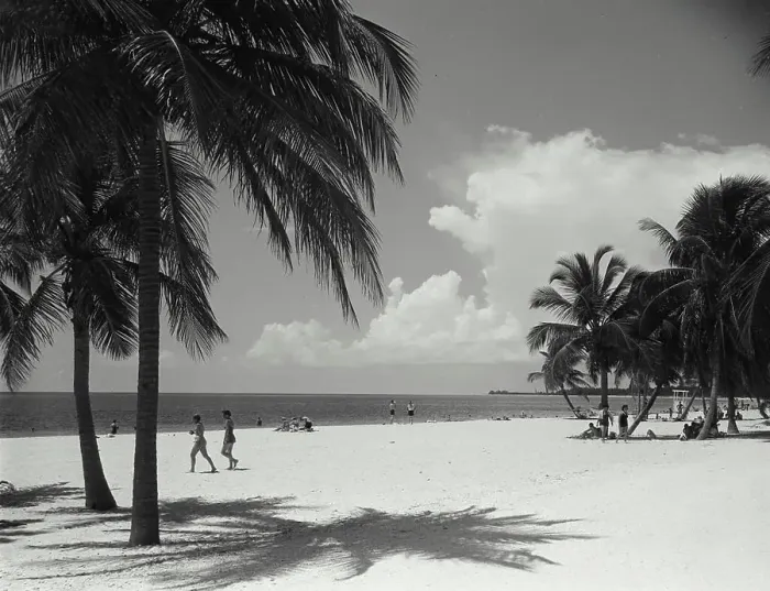 Framed Print : Vintage Photograph. Crandon Park on Key Biscayne, near Miami. Frame 2 Framed Print : Vintage Photograph. Crandon Park on Key Biscayne, near Miami. Frame 2