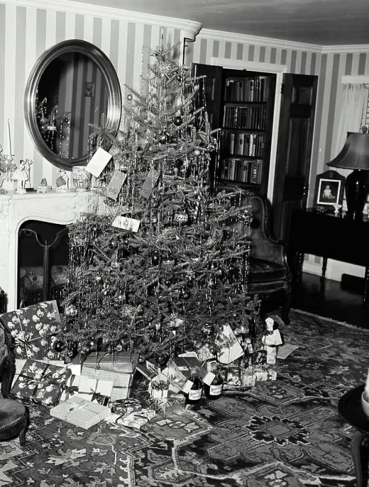 Framed Print : Vintage Photograph. A well decorated Christmas tree with a pile of presents below it Framed Print : Vintage Photograph. A well decorated Christmas tree with a pile of presents below it