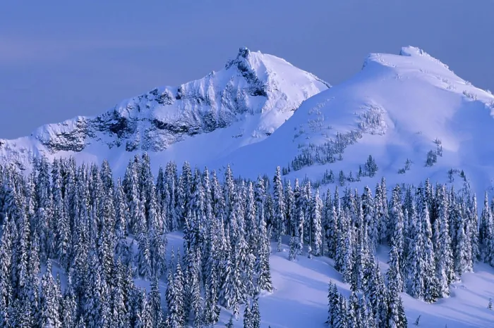 Framed Print : WA, Mt. Rainier NP, Tatoosh Range and snow covered trees Framed Print : WA, Mt. Rainier NP, Tatoosh Range and snow covered trees