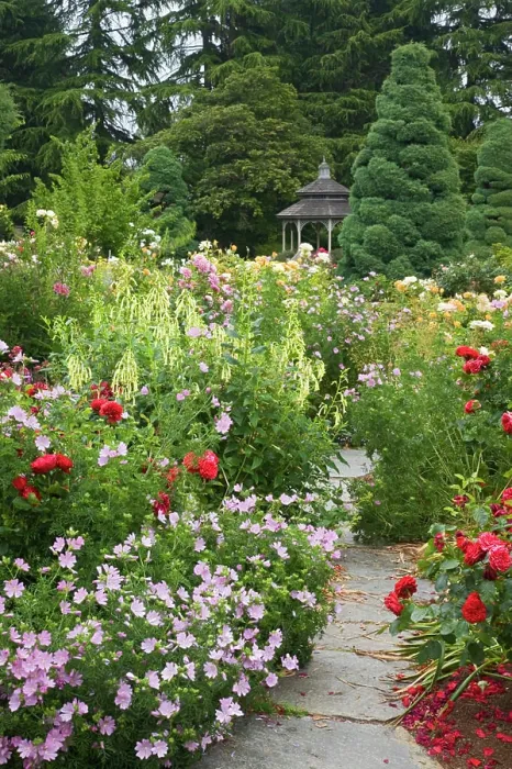 Framed Print : WA, Seattle, Roses in bloom and gazebo at the Rose Garden at the Woodland Park Zoo Framed Print : WA, Seattle, Roses in bloom and gazebo at the Rose Garden at the Woodland Park Zoo