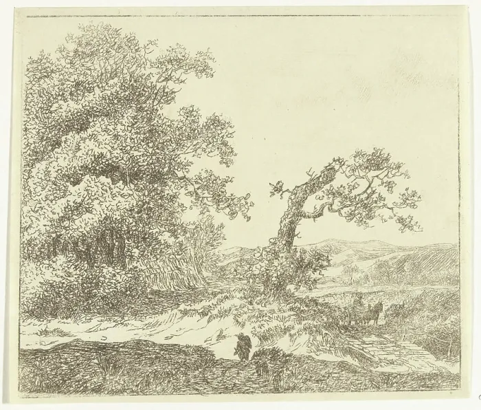 Framed Print : Walker in the Duinen Buite Haarlem Framed Print : Walker in the Duinen Buite Haarlem