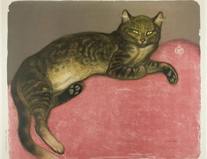 Framed Print : Winter Cat on a Cushion 1909 France Framed Print : Winter Cat on a Cushion 1909 France