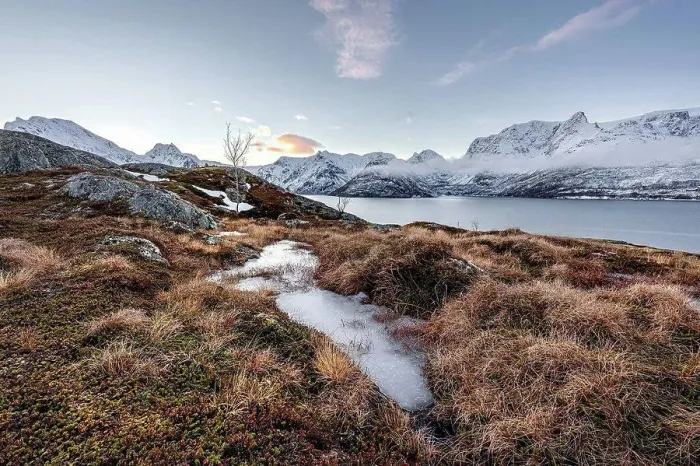 Framed Print : Winter dream at the Oksfjord in Northern Norway Framed Print : Winter dream at the Oksfjord in Northern Norway