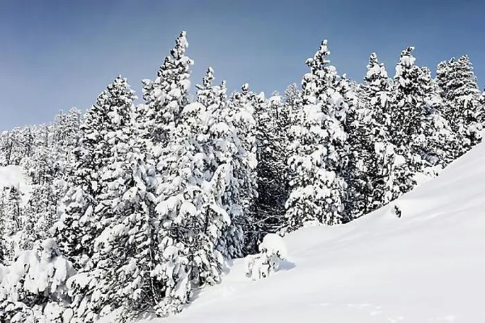 Framed Print : Winter landscape, Ofen Pass, Swiss National Park, Grisons, Switzerland, Europe Framed Print : Winter landscape, Ofen Pass, Swiss National Park, Grisons, Switzerland, Europe